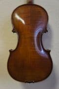 Vijole violes-2.jpg